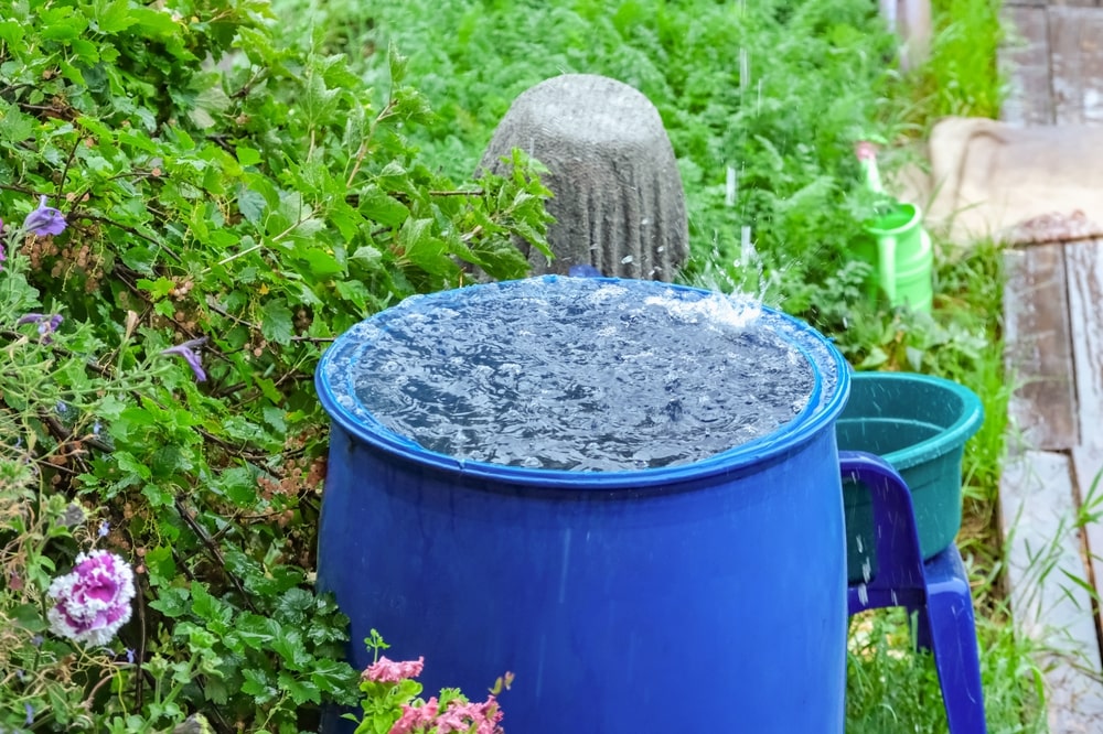 Optimiser la récupération d’eau de pluie pour le jardin
