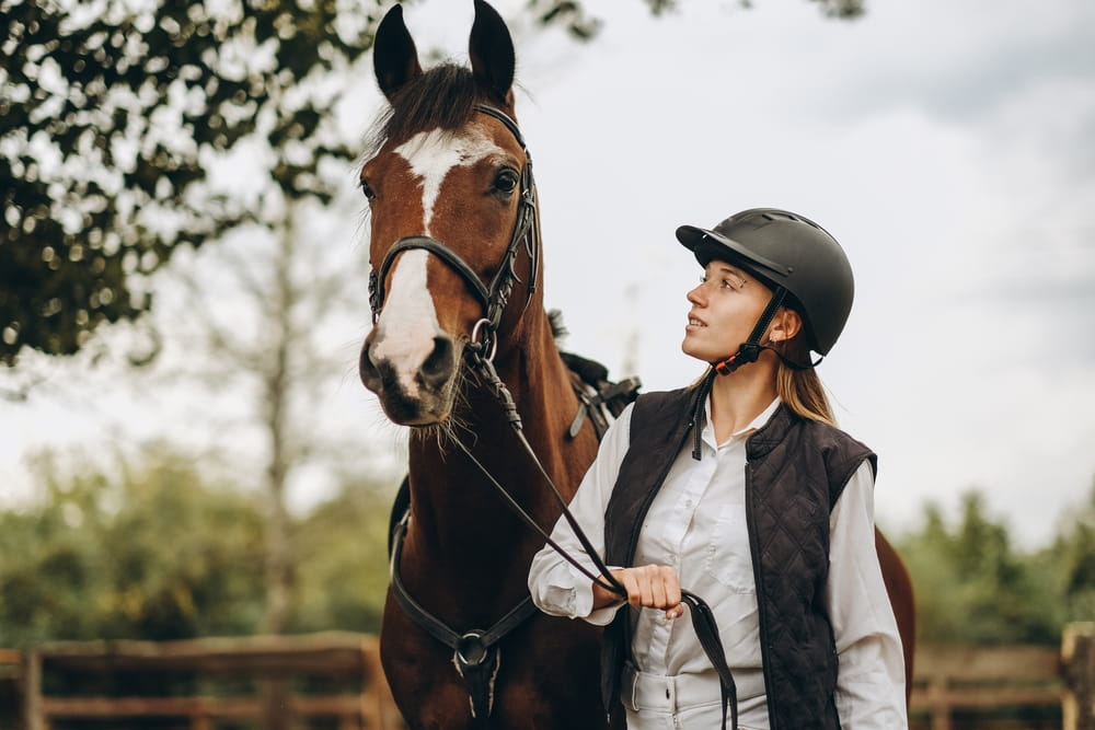 Comment choisir les protections adaptées à son cheval selon l’activité pratiquée